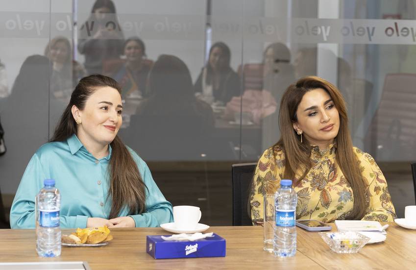 Yelo Bank-da səhiyyə sahəsində çalışan qadın sahibkarlar üçün netvörkinq görüşü təşkil edildi 1 3 49