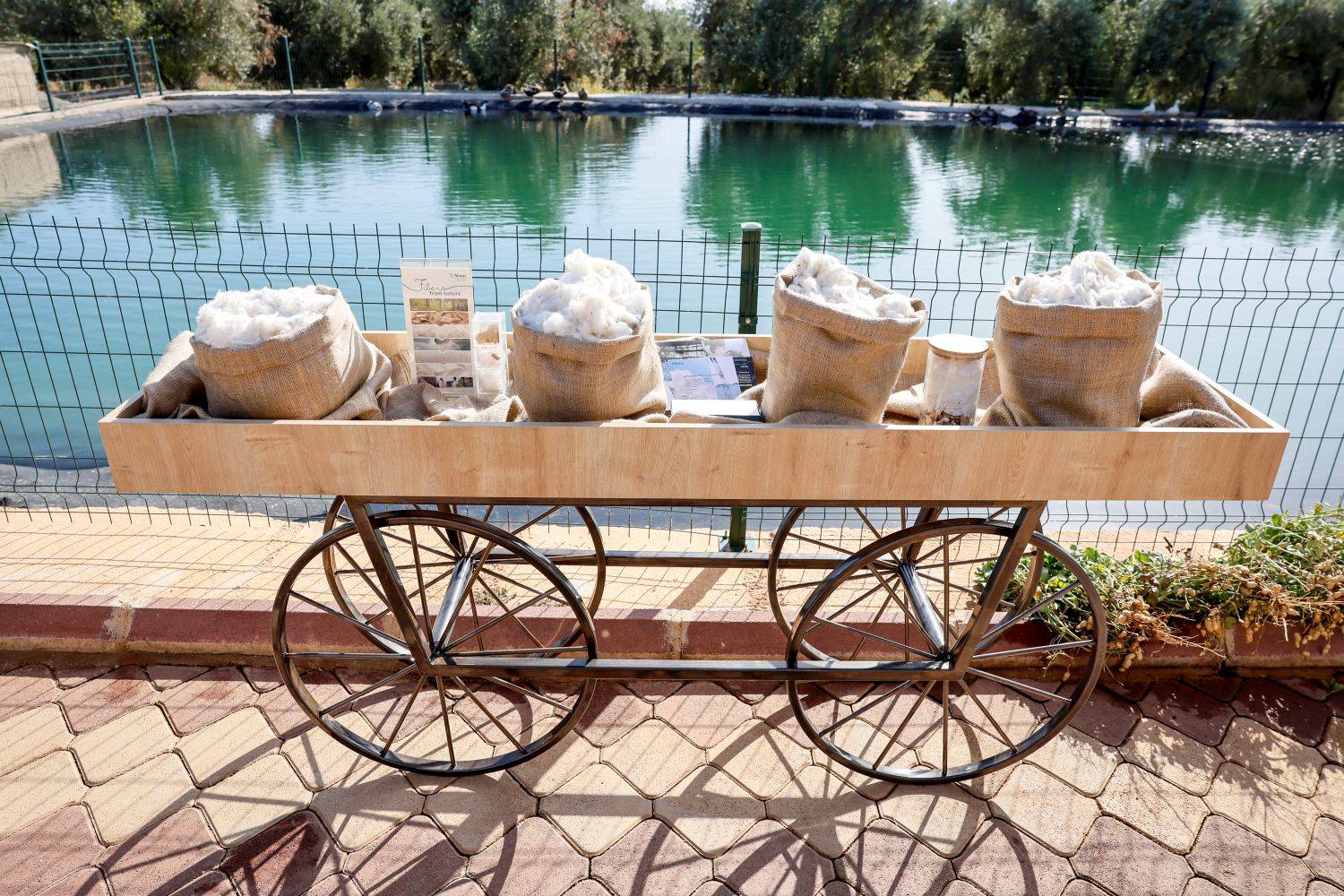 Trendyolmilla ilkə imza atıb: Regenerativ pambıqdan cins kolleksiyası 6 Trendyolmilla Pamuk