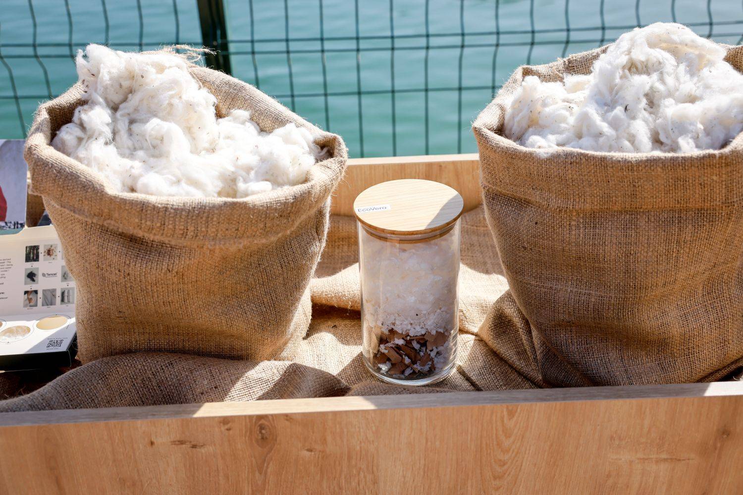 Trendyolmilla ilkə imza atıb: Regenerativ pambıqdan cins kolleksiyası 7 Trendyolmilla Pamuk Hasat PR