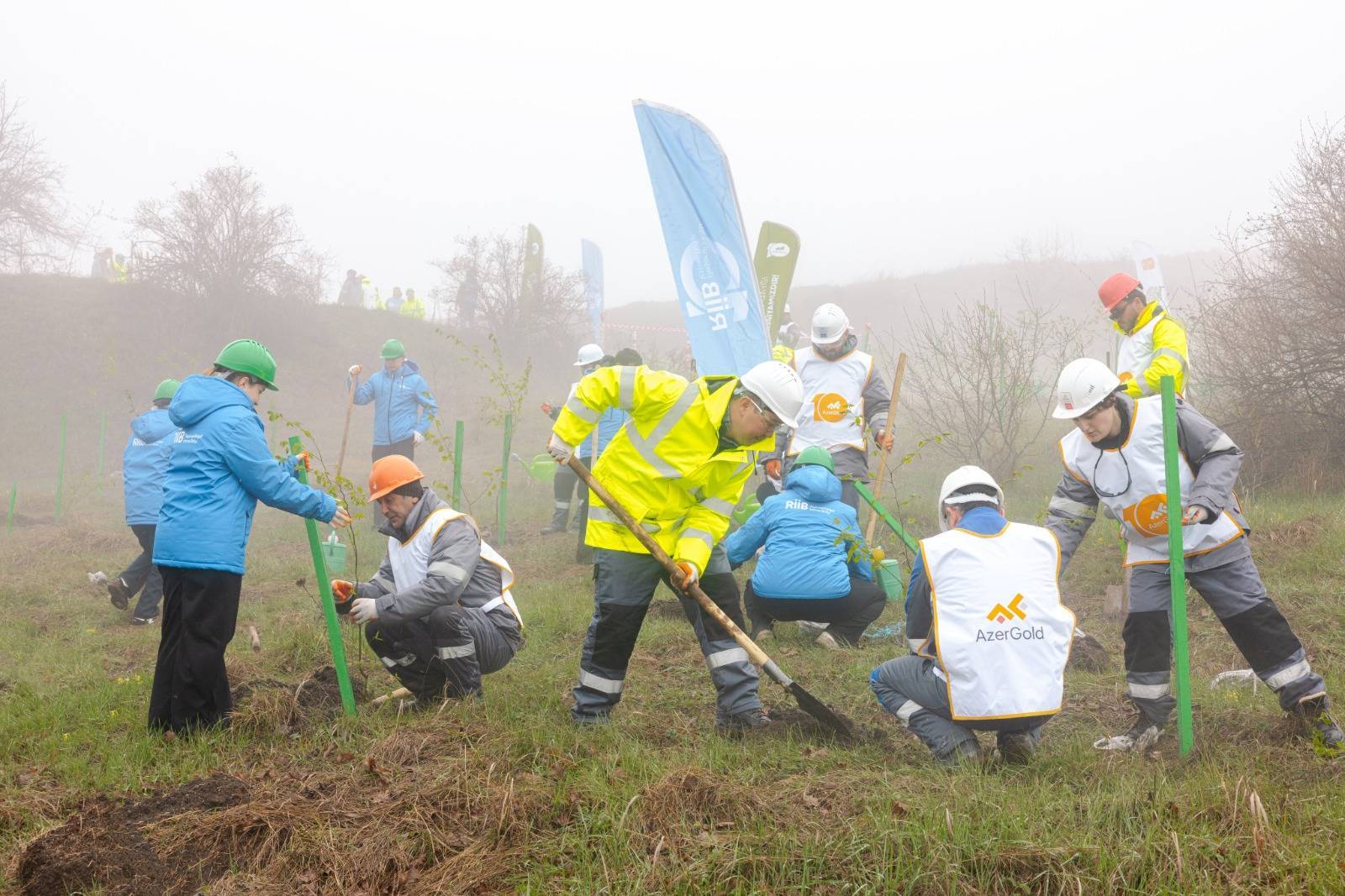 Daşkəsən rayonunda silsilə ağacəkmə aksiyaları keçirilib 12 2 29