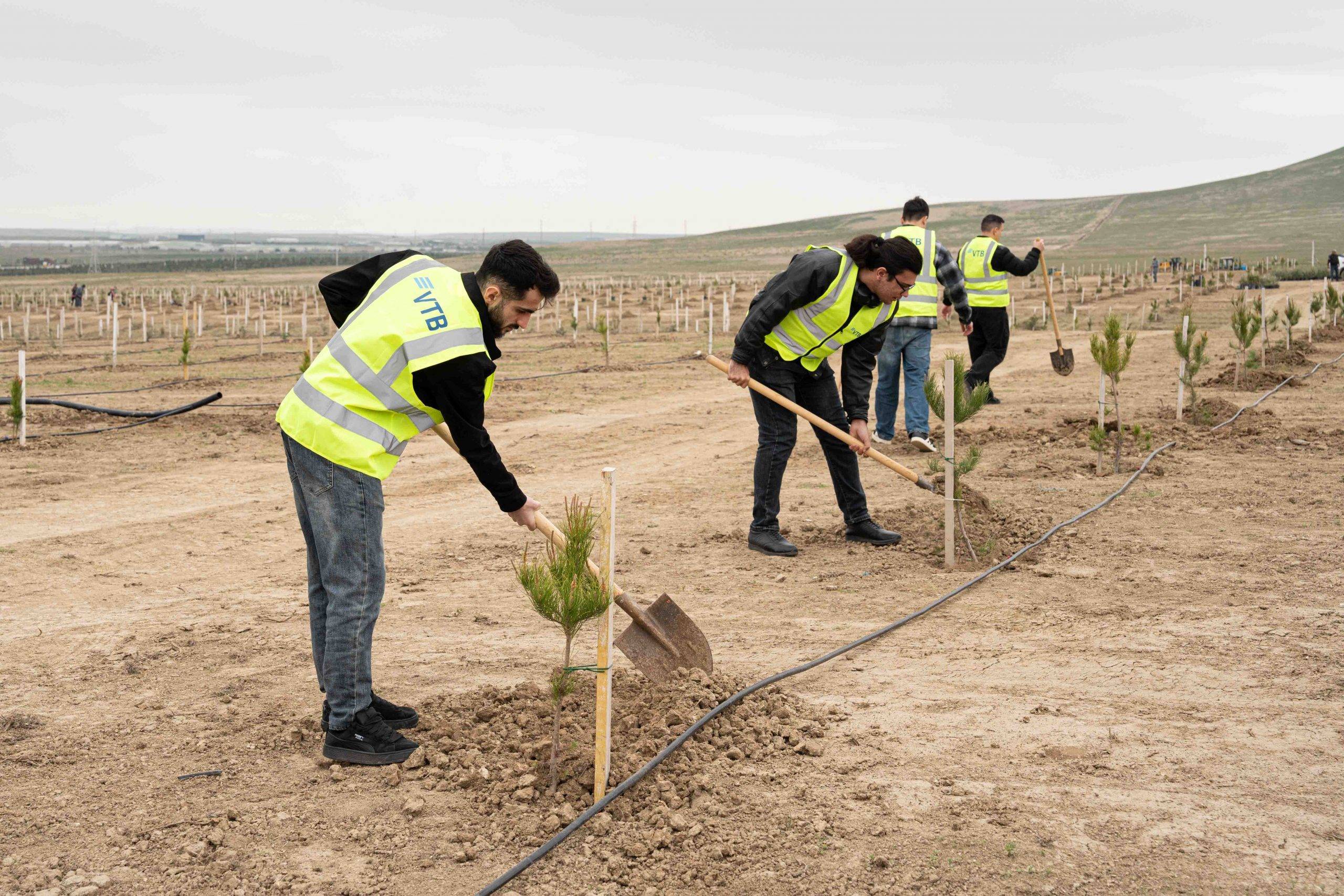 VTB (Azərbaycan) Müşfiqabadda ekoloji kampaniyada iştirak etdi 2 2 46 scaled