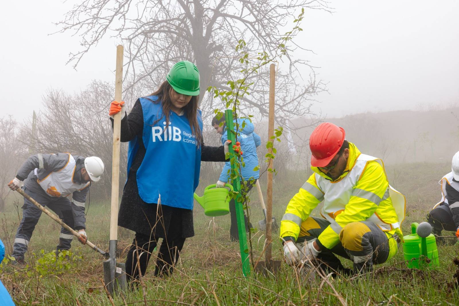 Daşkəsən rayonunda silsilə ağacəkmə aksiyaları keçirilib 8 5 19