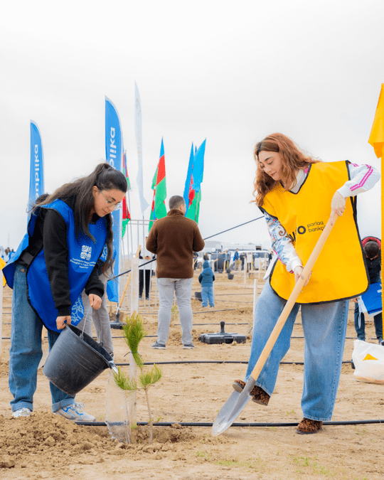 Yelo Bank-dan 1 milyon ağac hədəfinə parlaq dəstək! 2 Artboard 3 1