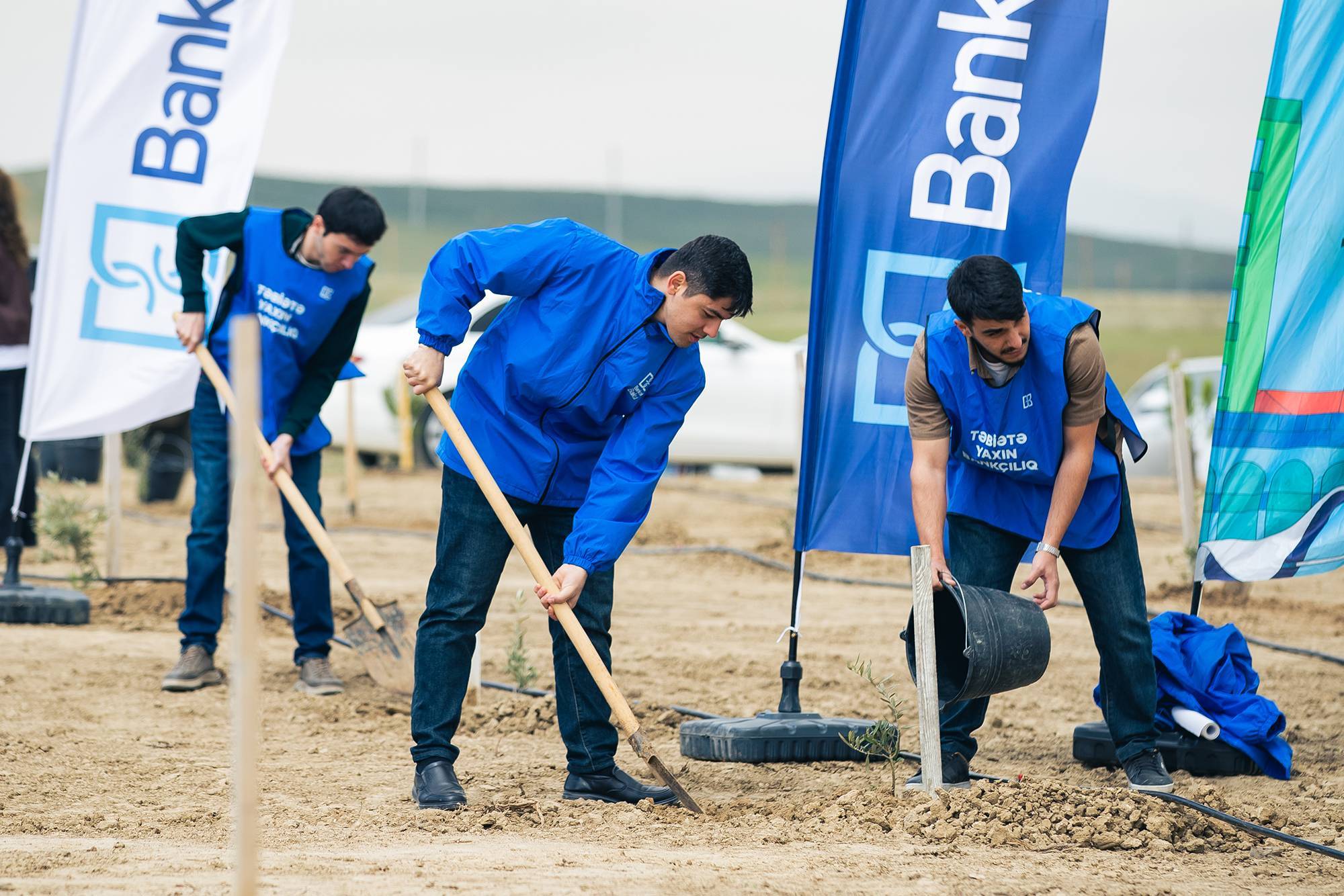 Bank of Baku-dan 1 milyon ağac hədəfinə dəstək 6 Bank of Baku dan 1 milyon agac hədəfinə dəstək 6