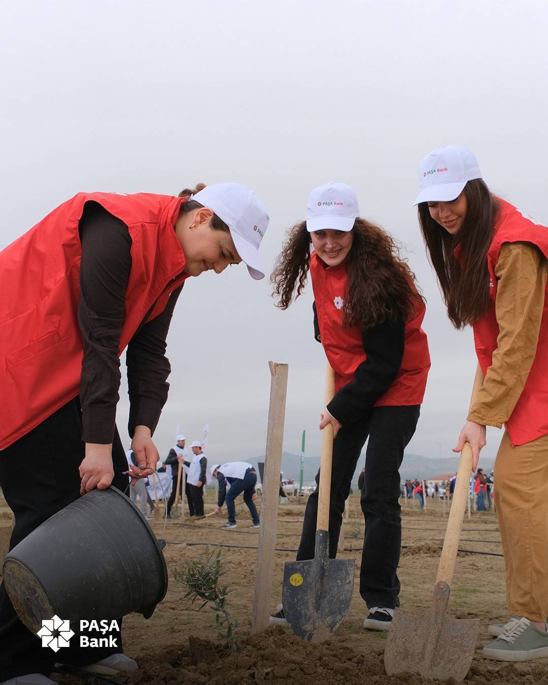 PAŞA Bank ağacəkmə aksiyasına qoşulub 2 image cover 2